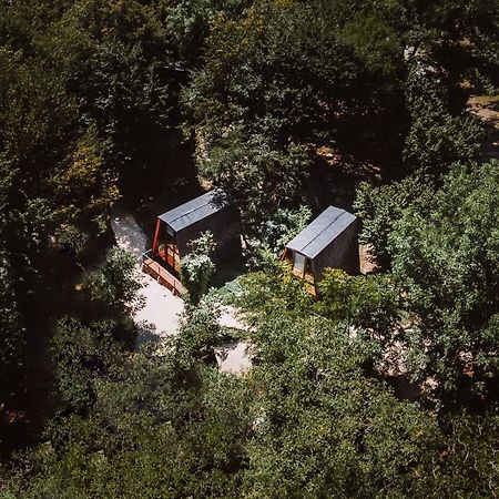 Eco Village In The Forest Лаґодехі Екстер'єр фото