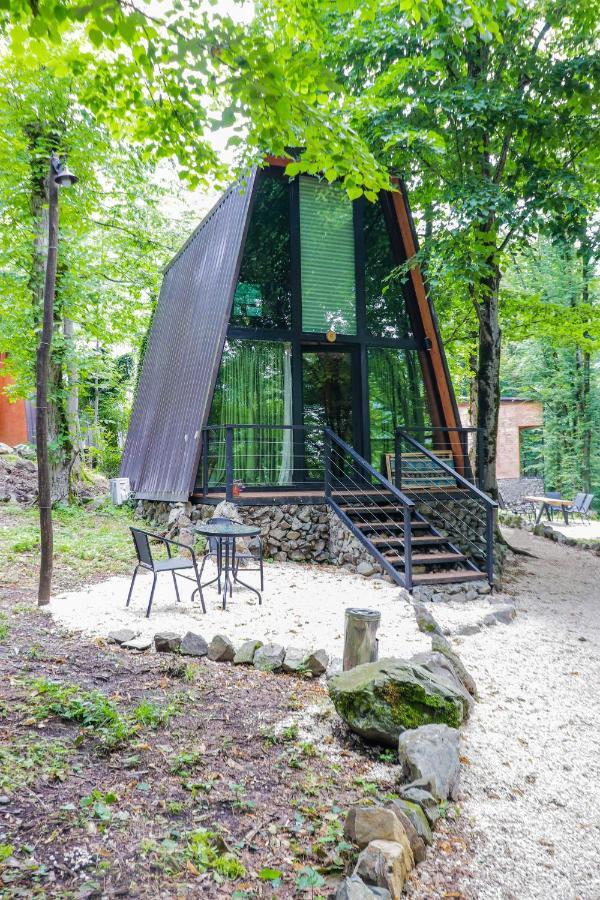 Eco Village In The Forest Лаґодехі Екстер'єр фото