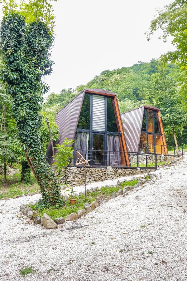 Eco Village In The Forest Лаґодехі Екстер'єр фото