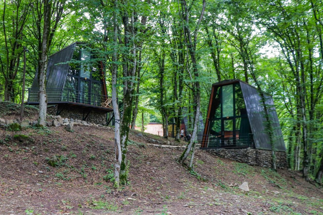 Eco Village In The Forest Лаґодехі Екстер'єр фото