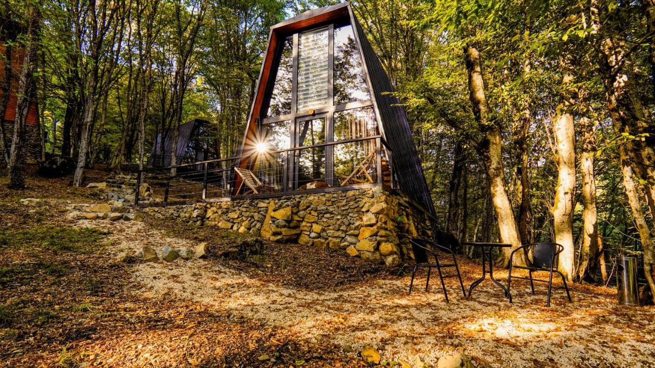Eco Village In The Forest Лаґодехі Екстер'єр фото